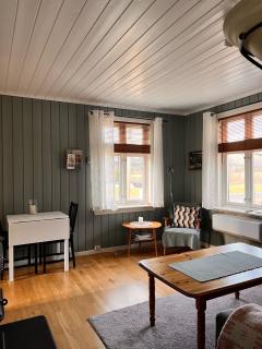 Cozy, small house in the heart of Telemark - 3