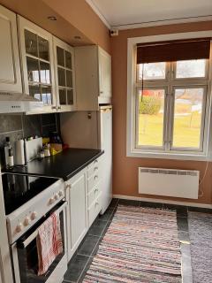 Cozy, small house in the heart of Telemark - 2