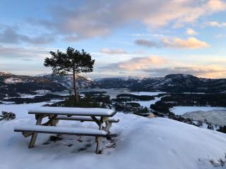 Cozy, small house in the heart of Telemark - 1
