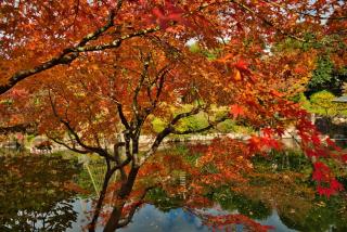 新大塚戸建て 4-minute walk from the nearest station Ikebukuro area - 2