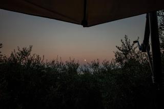 FRANTOIO - Suite nel verde con giardino e terrazza privata - 4