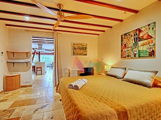 Loft spacieux et lumineux - 6 pers. - FR-1-734-91 - 2