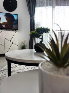 Lavandei Garden Timișoara by Renti Homes - 4