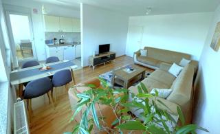 Gashi Apartment Prishtina - 8