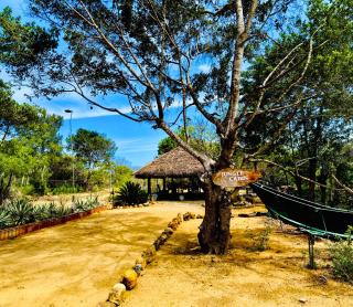 Jungle Cabin - Bundala - 9