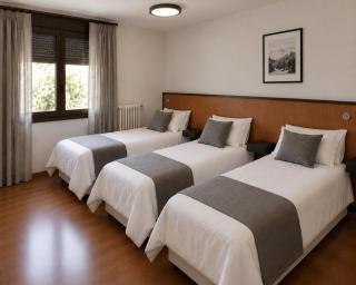 Hotel Refugi dels Isards - 7