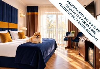 Prawdzic Family Resort & Wellness - Gdańsk - 9