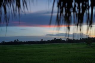 Rigang Workation Majuli - 5