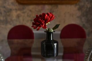 Brancovenian Elegance in Central Bucharest - 3BR Steps from Cismigiu - 9