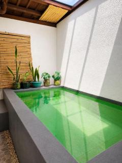 Mini Nature Villa for 2 Pax with Private Pool - 3