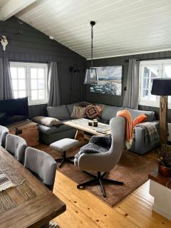 Mountain cabin by ski trails in southern Blefjell - 1