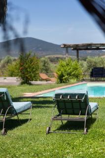 Wonderful villa with swimming pool near the sea. - 5