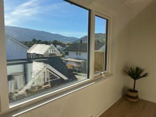 Central - Comfort - Newly Renovated - Spacious Apartment - 3