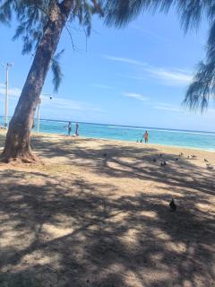 Blue ocean - 2