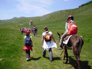 Albergo Benito - Norcia - 5