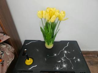 Shri Ram Sadan - Room# 201 - 5