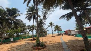 Shiva samudra beach resort - 6