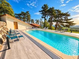 Le cottage des pins chalet sur les vignes - 8