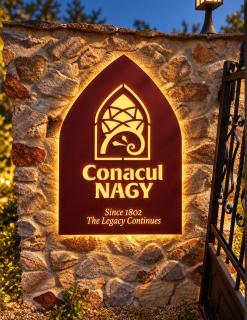 Conacul Nagy - 2