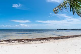 Residences at Barrier Reef Unit 5B Oceanview 2 BR by Stay Floreo - 5
