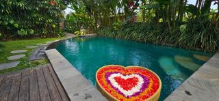 Uma Tulu Villa - 7