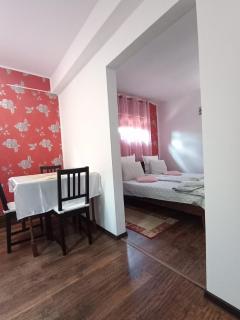 Casa Helen House, Iasi - 2