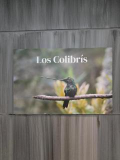 Pipes House-Los Colibris - 4