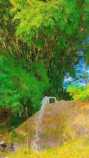 Camping Bela Vista - 1