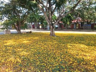 Revora Retreat - 4
