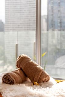 Breathtaking Panoramic Penthouse, Polanco 8PAX and 3BD - 3