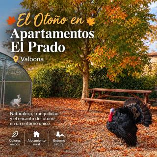 Apartamentos El Prado FAMILIAS - 0