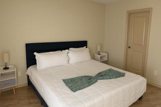 Hummingbird Haven 1 - Pharr - 3