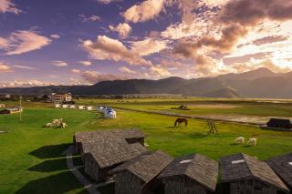 Black Bean Cafe & Wild Retreat - Shangri La - Where Tibetan Heritage Meets Untamed Wilderness - Round-trip Shuttle Service to Dukezong Ancient Town & Airport or TS - 5