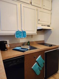 1st Floor Mountain View Suite Ski On Off At Jiminy- Fully Redone Decor - 9