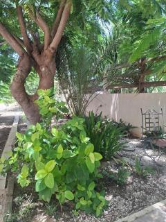 Maison Rosea, Calme et paisible - 3