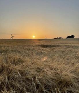 Glamping Mellem-Rummet Retreat 1 - Atmosfære - 2