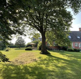 Glamping Mellem-Rummet Retreat 1 - Atmosfære - 1