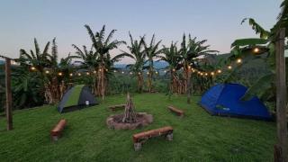 Sallqa samana - 0