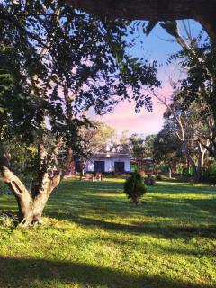 Casa 113 Salta - 8