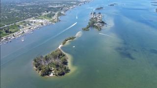 The Mangrove Mansion-a perfect Old Florida getaway - 5