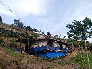 Finca la Alejandría - 0