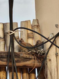Residence Le Missabougou Studio, Cozy - 4