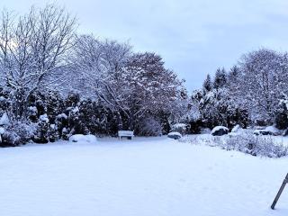 Bronte Haus - 4