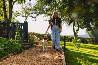 Caplor Glamping and Lodges - 2