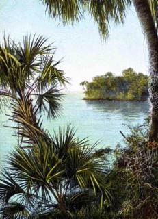 1 brm beach across str, port 8 mi, Ron Jon 4 mi - 5