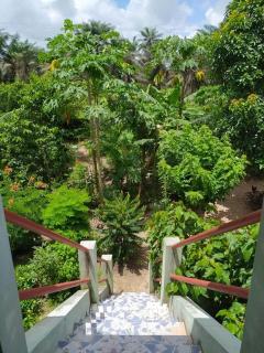 Chez Yaya - Chambre double "Brousse", Calme et Nature - 3