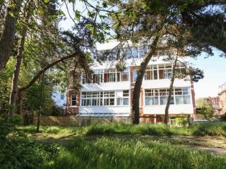 The Pines - 5