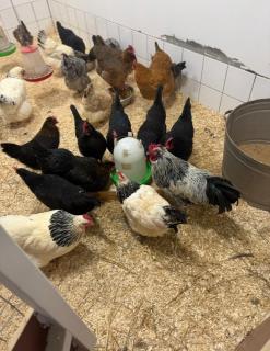 Guest house in the countryside with proximity to most things - 7