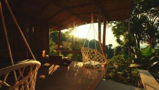 Wild Wasi - Private Jungle Villa - 7