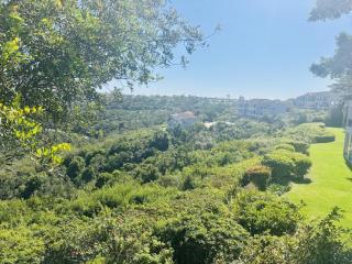 Fin's Vista - 8